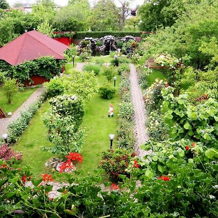 Pension Delia Gardens تيميشورا المظهر الخارجي الصورة