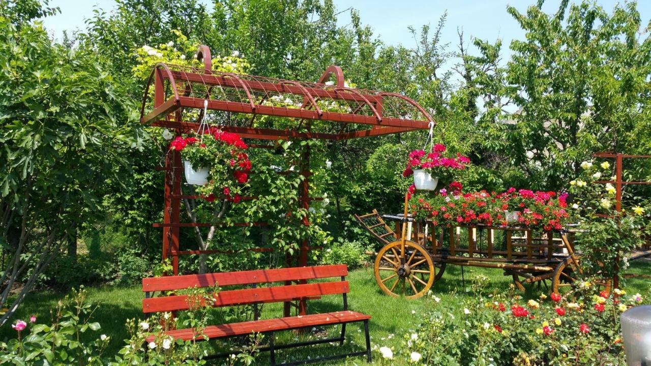 Pension Delia Gardens تيميشورا المظهر الخارجي الصورة