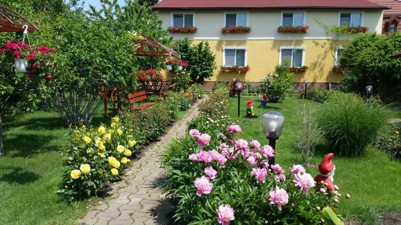 Pension Delia Gardens تيميشورا المظهر الخارجي الصورة