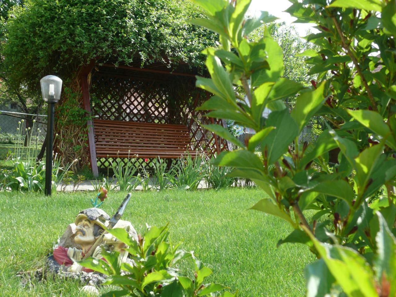 Pension Delia Gardens تيميشورا المظهر الخارجي الصورة